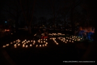 Ora Pamantului 2019 | Earth Hour 2019