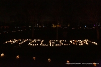 Ora Pamantului 2019 | Earth Hour 2019