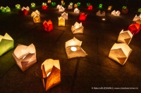 Ora Pamantului 2019 | Earth Hour 2019